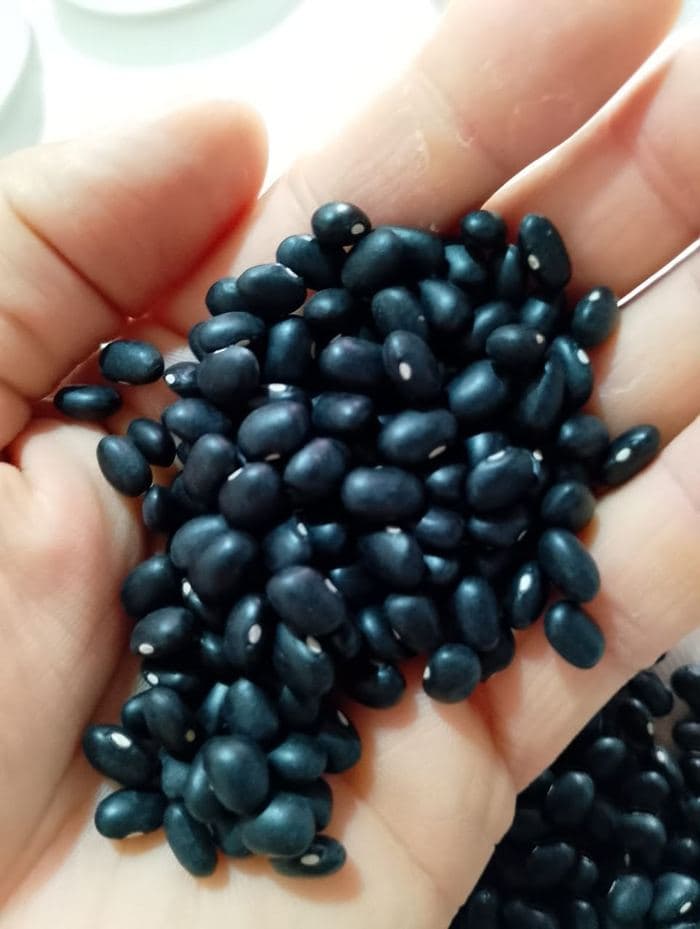 Black beans — quality check